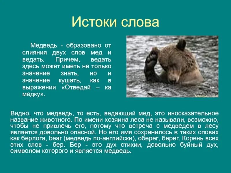 Стоит бер