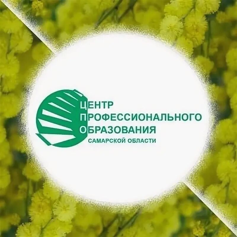 Центры педагогического образования. Цпо самарской области. логотип цпо самарской области. центр образования самарской области. центр профессионального образования.