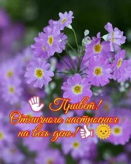 Хорошего дня ольге