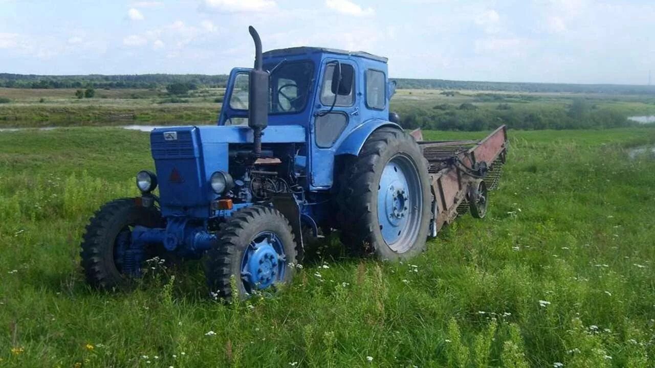 Т 40 в крыму