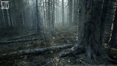 Death forest