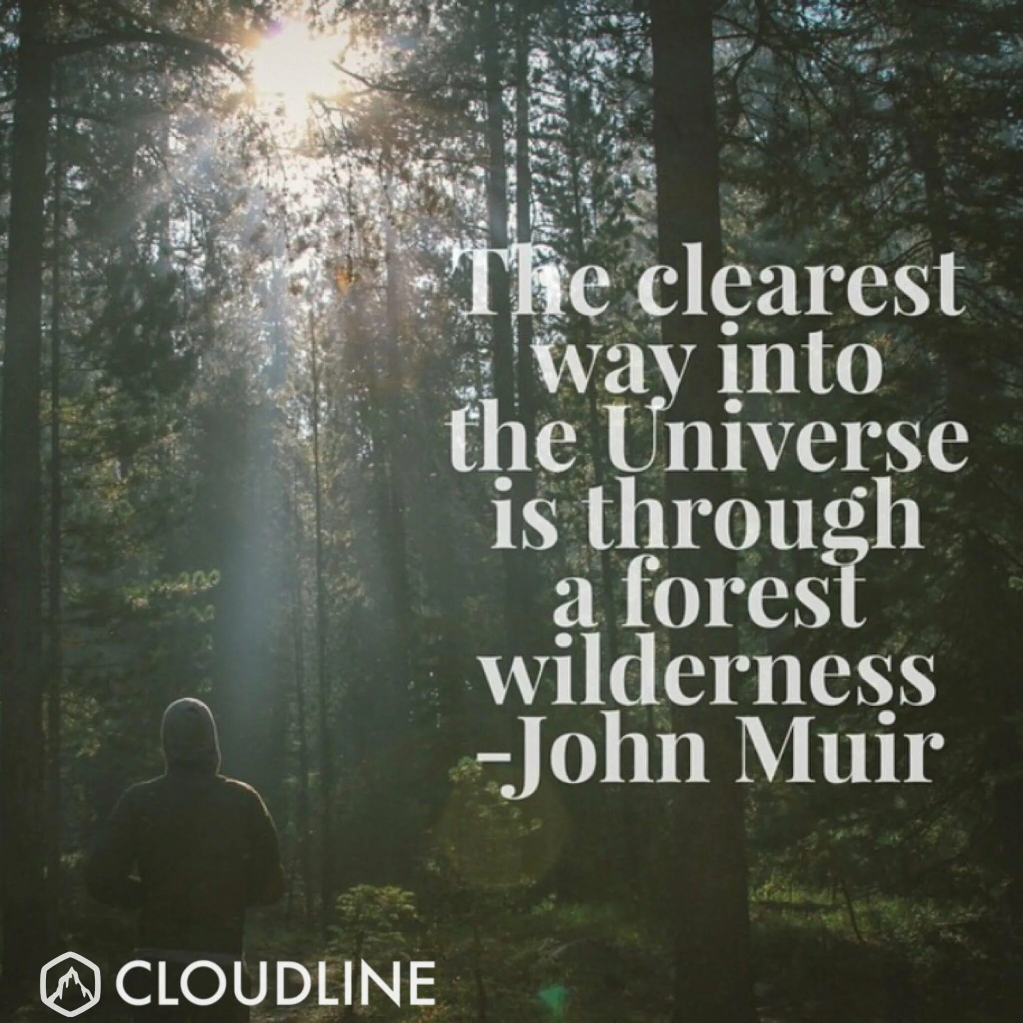 The way is clear. Forest quotes. quotes about forest. nature quotes forest. quotes from into the woods.