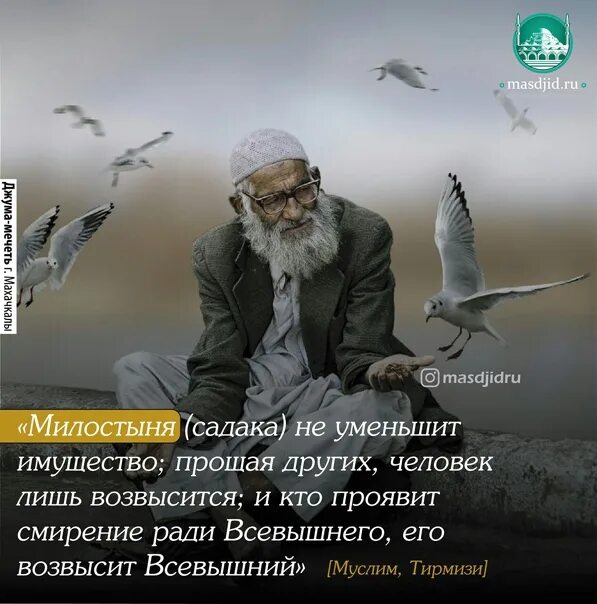 Садака как правильно давать. Садака милостыня. милостыня в исламе. милостыня садака в исламе. хадисы о милостыни садака щедрости.