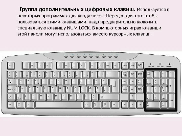 Какую клавишу нужно удерживать в нажатом состоянии. Дополнительных цифровых клавиш. Дополнительная числовая клавиатура. Цифровые клавиши на клавиатуре. Клавиши управления курсором.