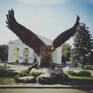 Доброчат орел