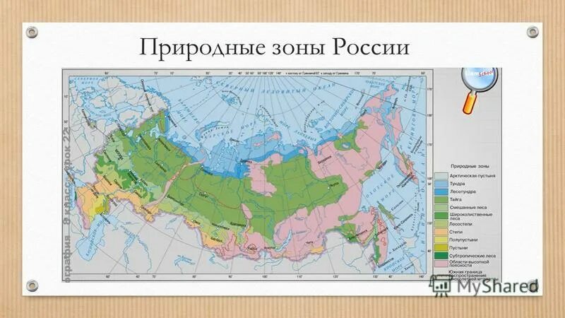 Название природных зон района. Карта природных зон России 4 класс окружающий мир. Природные зоны России 4 класс карта с названиями в ВПР. Природные зоны России 4 класс окружающий карта с названиями. Контурная карта природные зоны России Тайга.