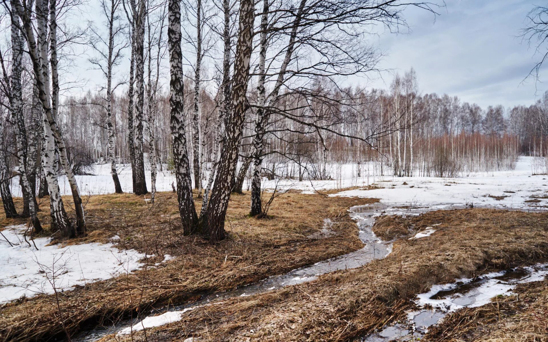 Весенние ручьи. Снег сходит с пригорков веселыми ручейками