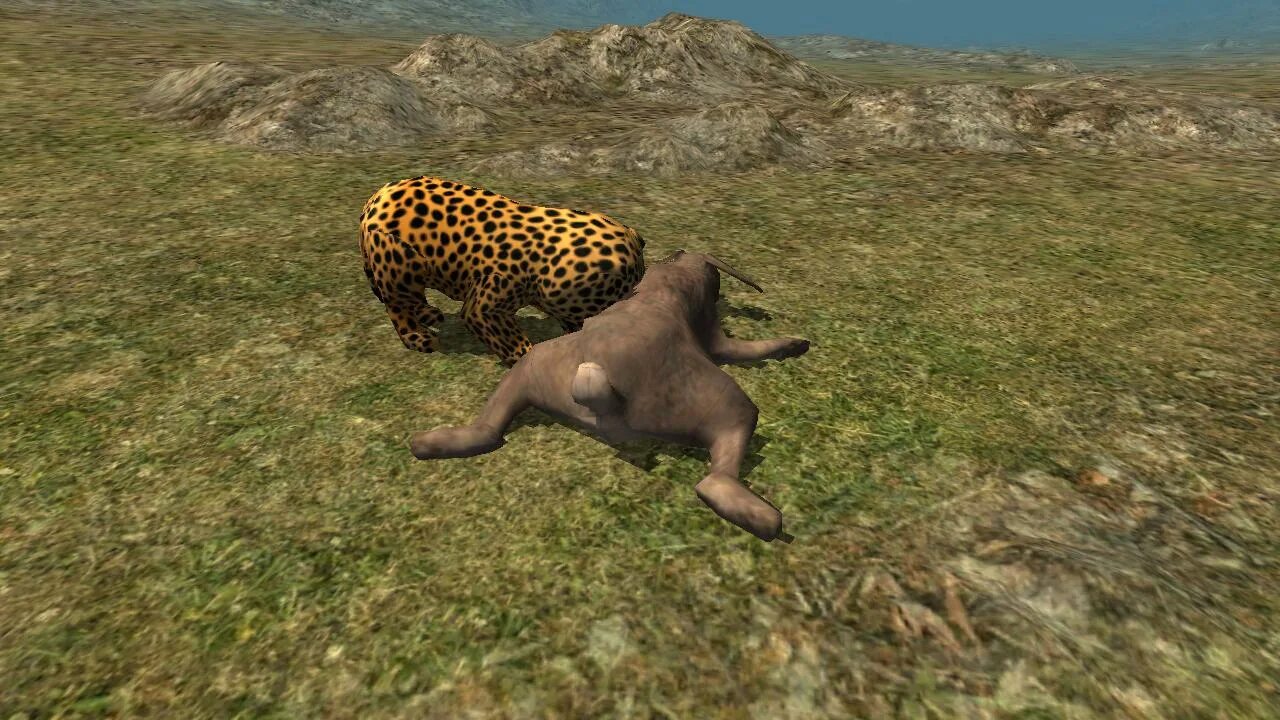 Cheaters cheetah читы. Гепард чит. cheetah simulator. cheetah mobile игры. гепарды играют.