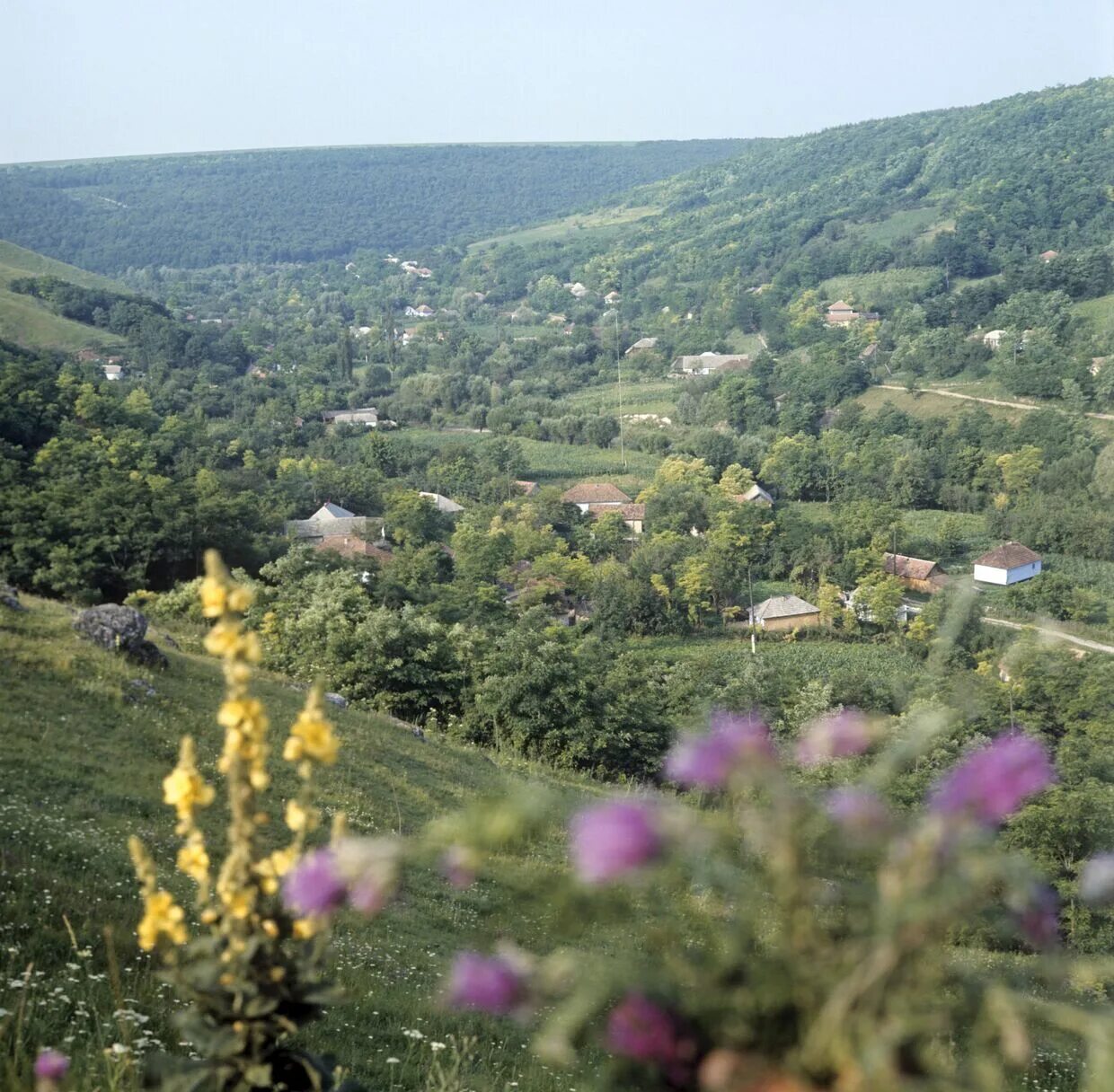 Самому в молдову. Наславча Молдова. Молдавское село. Панорама села Наславча. Отдых на Наславча.