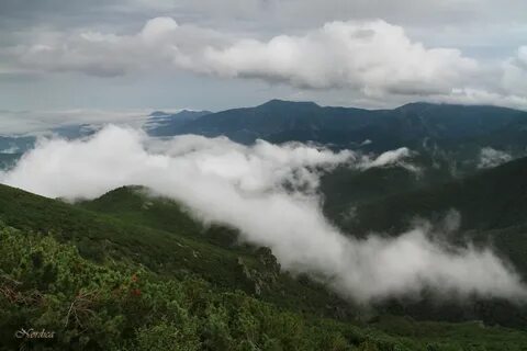 Центральный сихотэ алинь всемирное наследие юнеско