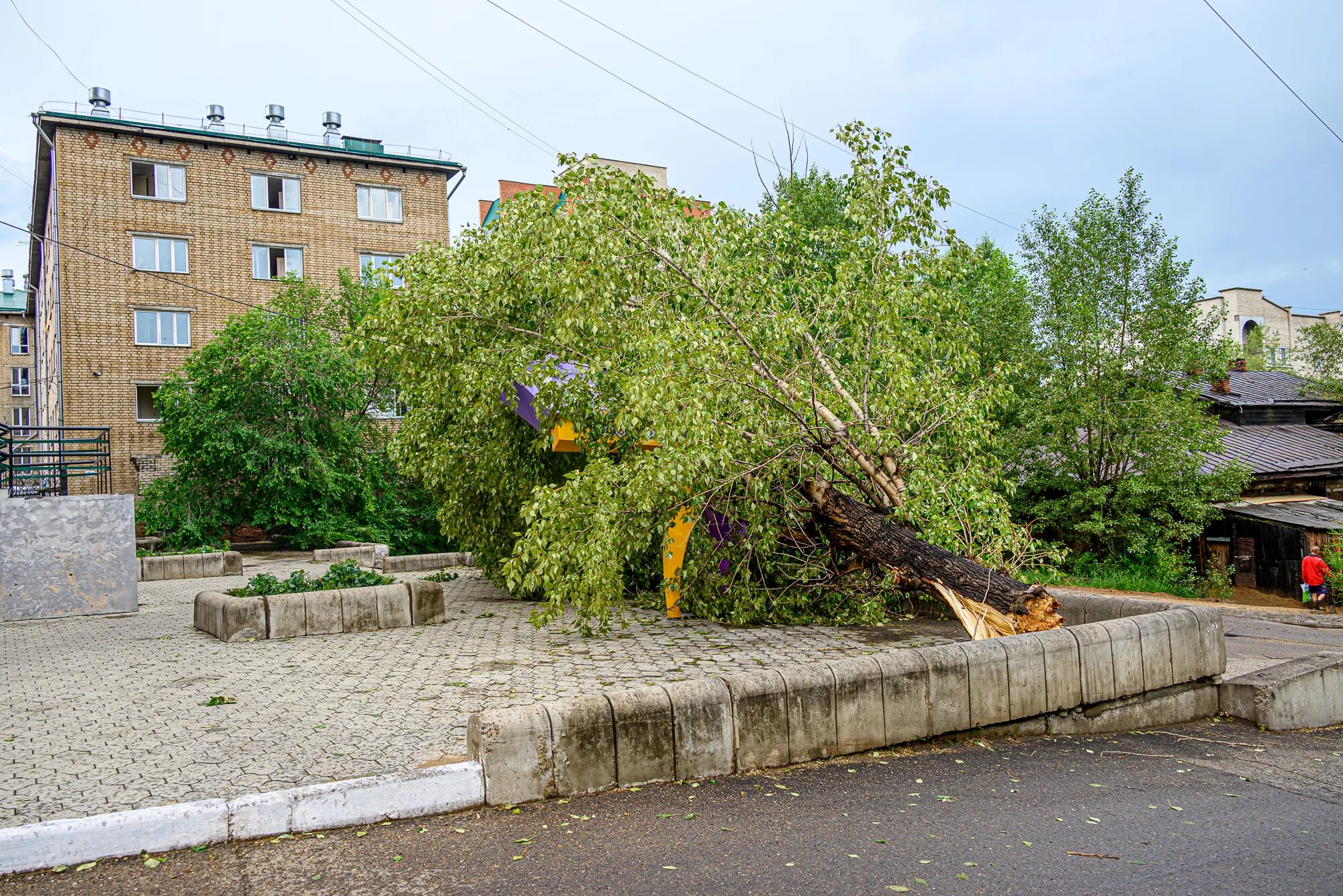 Ветров в архангельске. Сильный ветер в Кузбассе. Сиьнай ветер в Кузбассе. Ветер в городе. Архангельск штормовое.