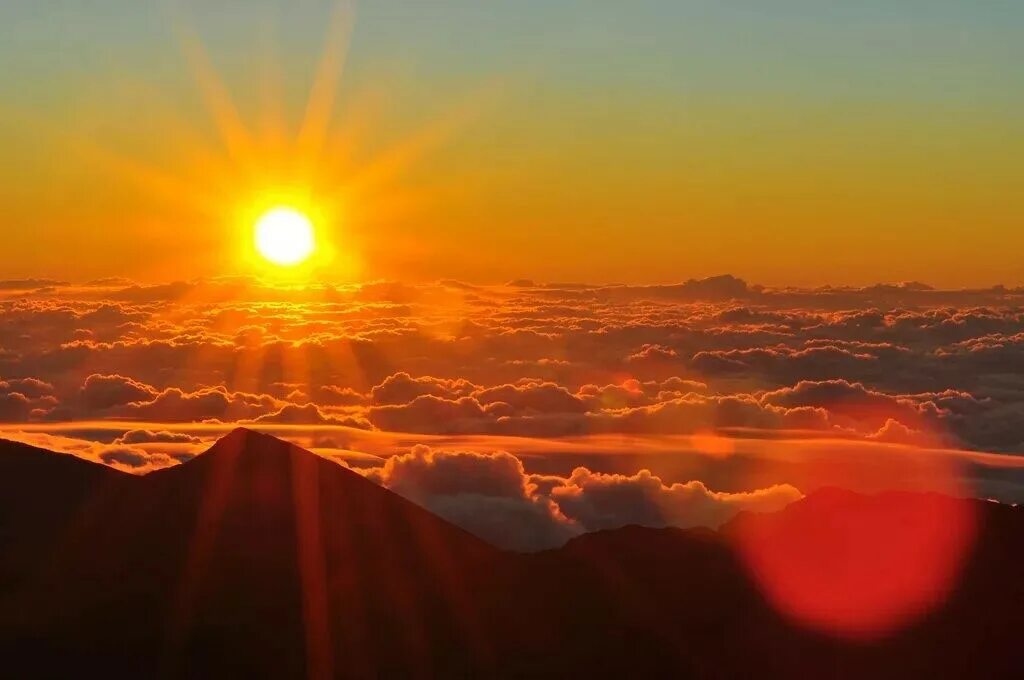 Новое солнце. House of the rising sun текст. House of the rising sun ноты для пианино. Have the sun risen. Aim for the stars.