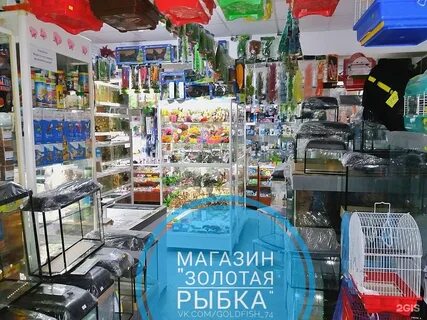Телефон магазина золотая рыбка