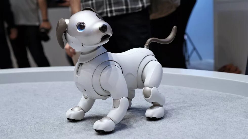 Роботы собаки на открытии игр. Японские роботы Айбо. Робот собака Aibo. Sony Aibo. Робот пес вид сбоку.