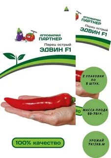 Семена пилот