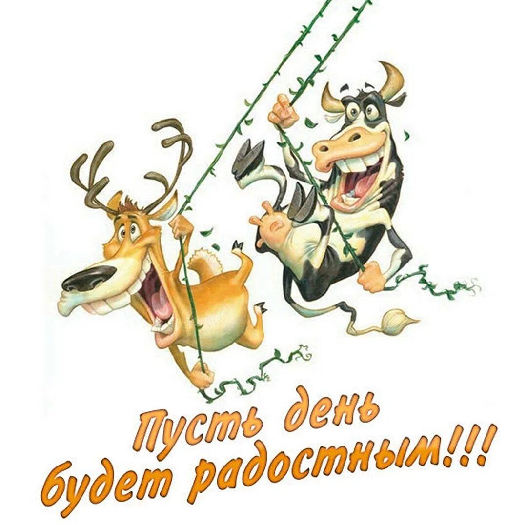 Легкого рабочего дня. Веселой субботы. хорошего настроения мужчине. хорошего дня мужчине прикольные. легкого дня.