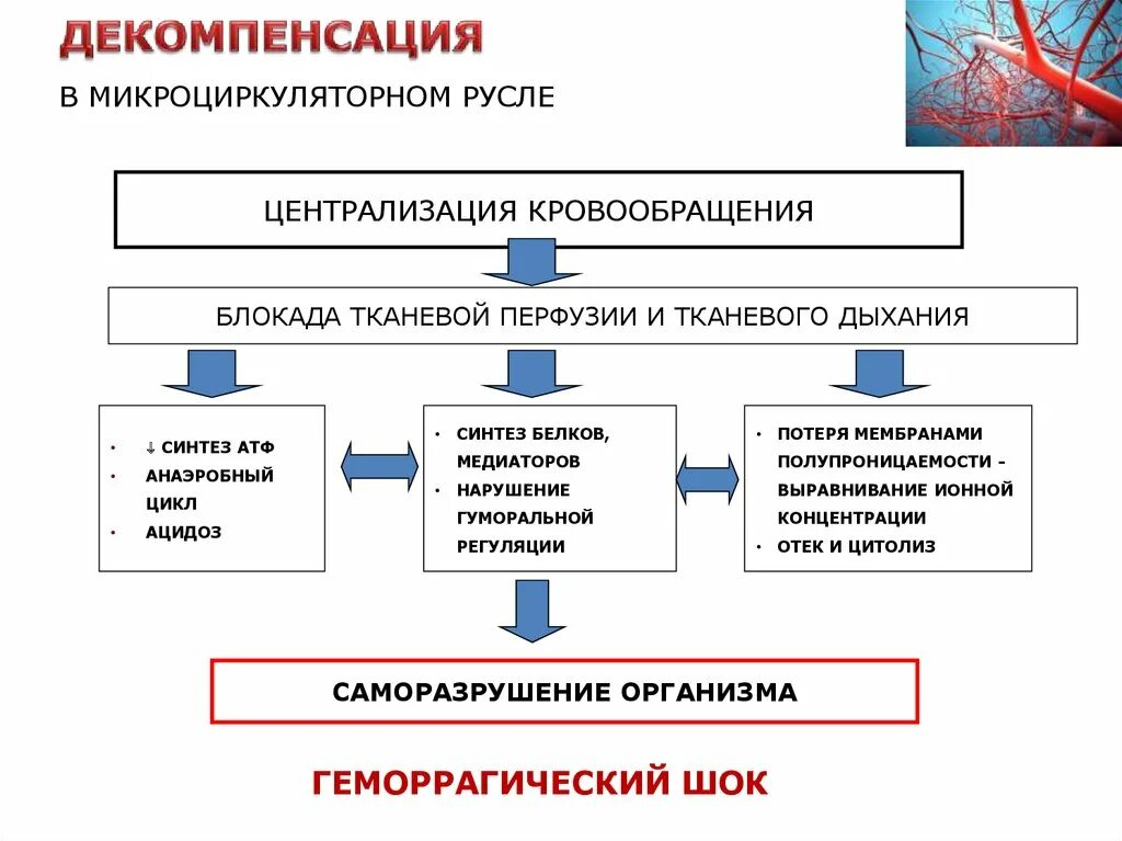 Декомпенсация хронических заболеваний. Централизация кровообращения осложнение. Централизация кровообращения патогенез. Централизация кровотока. Симптомы децентрализации кровообращения.