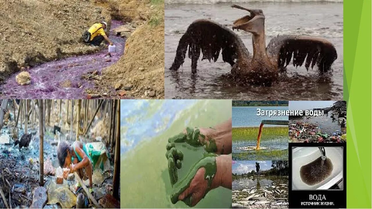 Последствия загрязнения воды. Экологические проблемы воды. Загрязнение природы человеком. Последствия загрязнения окружающей среды.