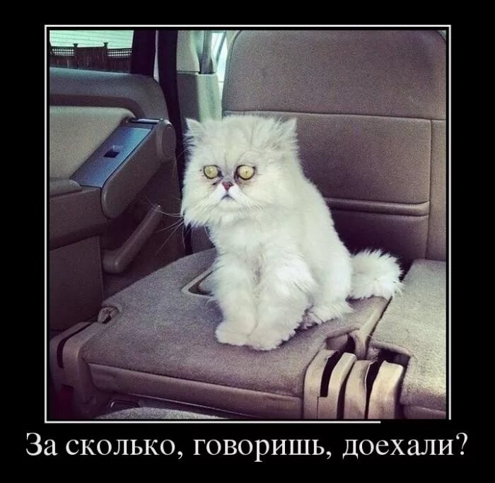 Долго ехать. Долго ехать