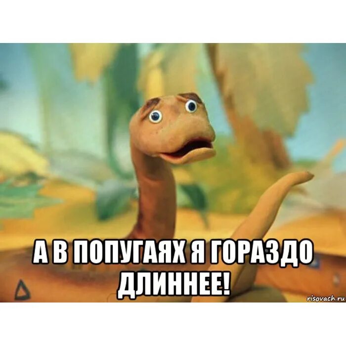 Удав из 38 попугаев мемы. Фразы про лису. Мотиваторы для любимой. А в попугаях я гораздо. Что видят женщины.