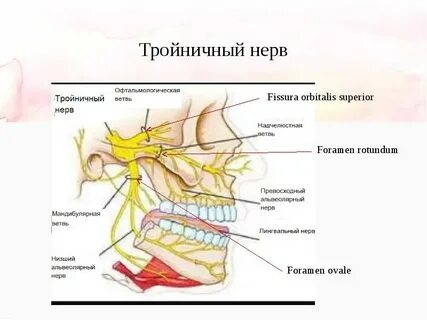 Что будет если попасть в нерв