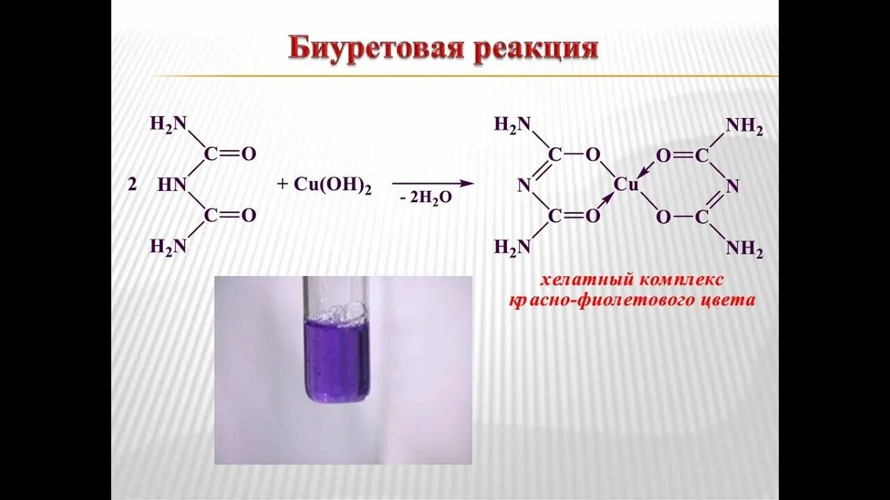Фиолетовое соединение железа. Реакция Пиотровского биуретовая реакция. Биуретовая реакция белков формула. Биуретовая реакция химизм реакции. Яичный альбумин биуретовая реакция.