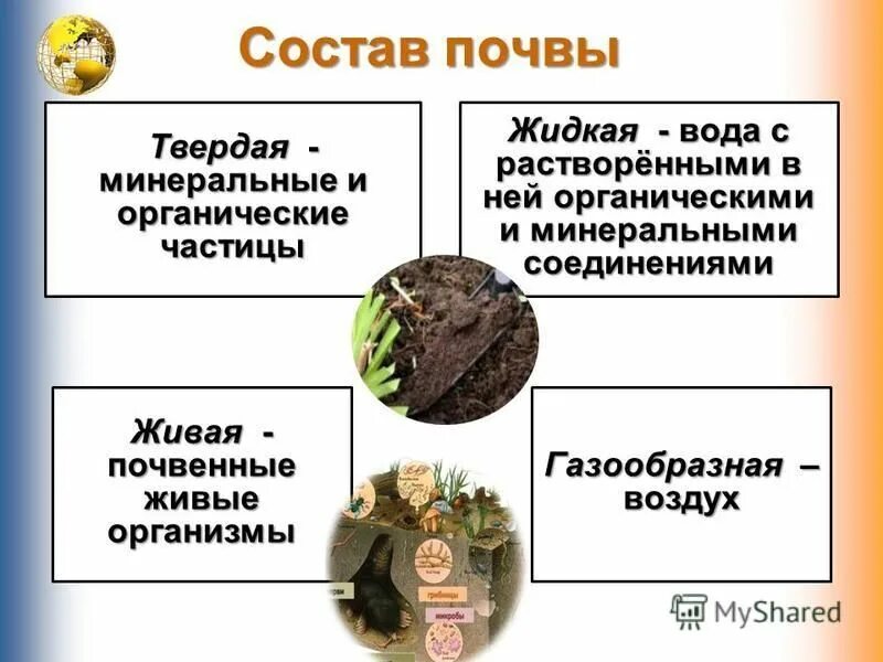 Механические части почвы. Минеральная часть почвы состоит из. Минеральный состав почвы. Минерализация почвы. Химический состав почвы.