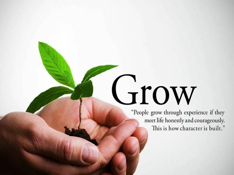 People grew this. Grow through Эстетика постеры. Grow people. Sustainable Development quotes. How do people grow.