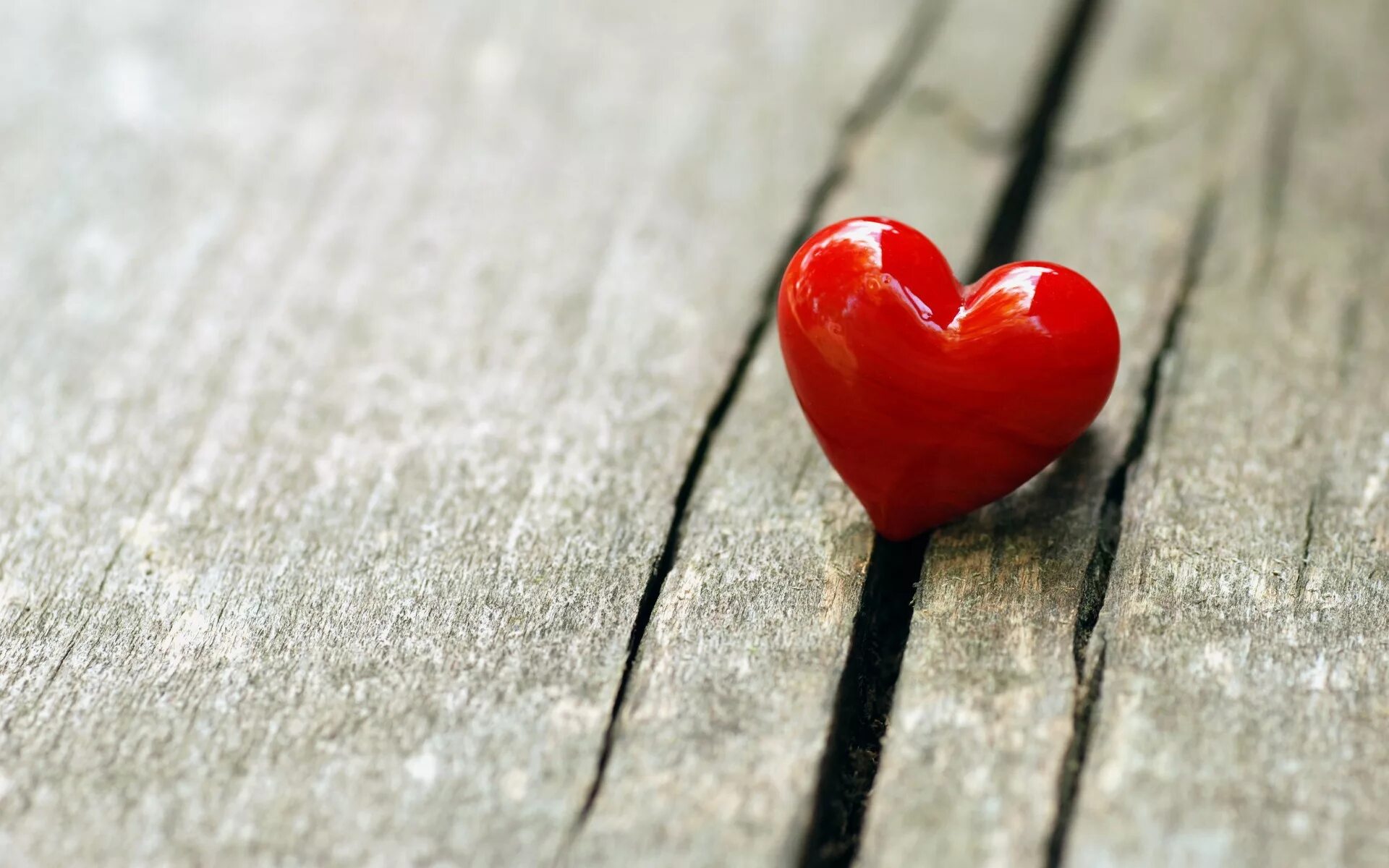 It s just love. It s just love
