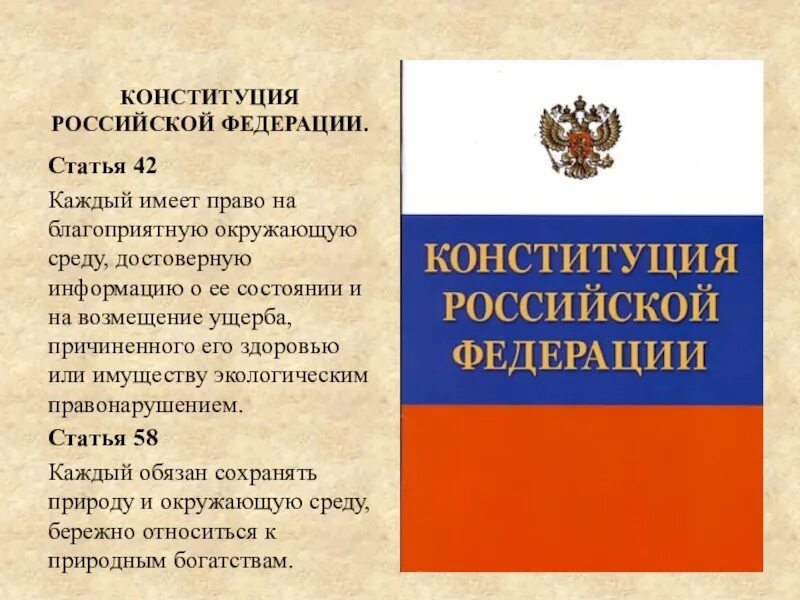 Конституция россии международное право. Ст 42 Конституции РФ. 42 Статья Конституции Российской. Статья 42 Конституции РФ. Статьи Конституции об экологии.