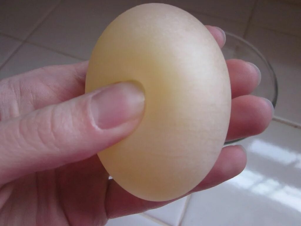 Яйцо без скорлупы. Мембрана яичной скорлупы. Скорлупа яиц. Мягкая скорлупа у куриных яиц.