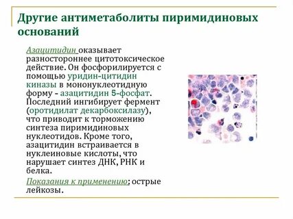 Антиметаболиты это