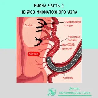 Ерінге спермы бар үйдегі минет фото