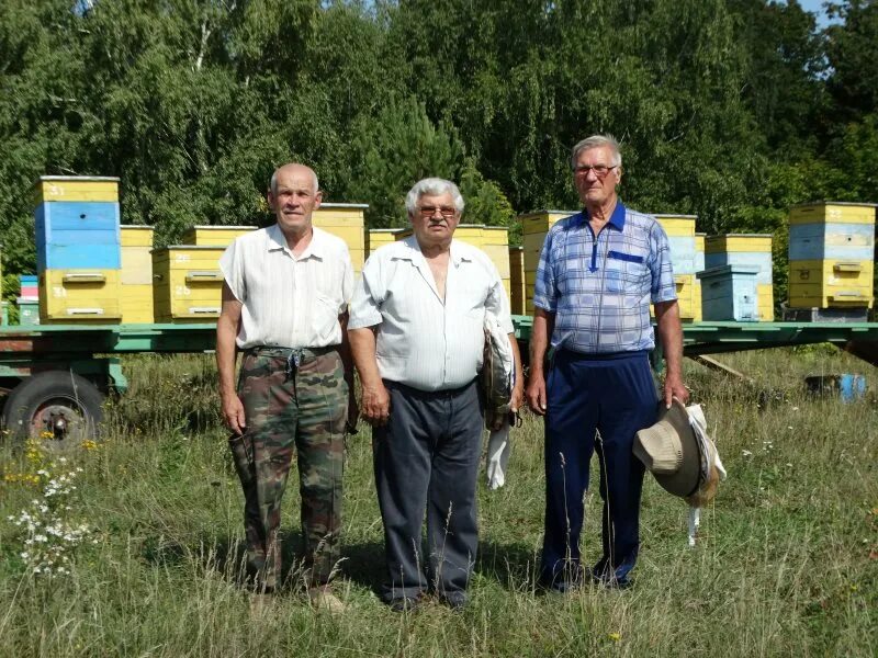 Донгуз балтайского района саратовской области. Село Донгуз Балтайского района Саратовской области. Село Донгуз Саратовской области. Саратовская область Балтайский район село садовка .. Школа Донгуз Балтайский район Саратовская область.