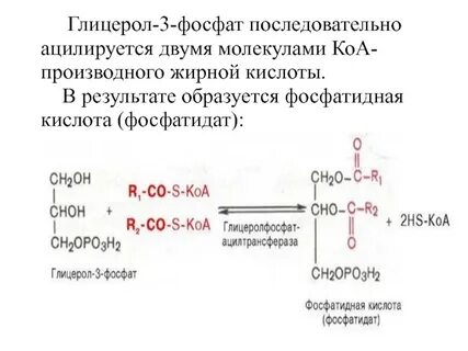 3 фосфат