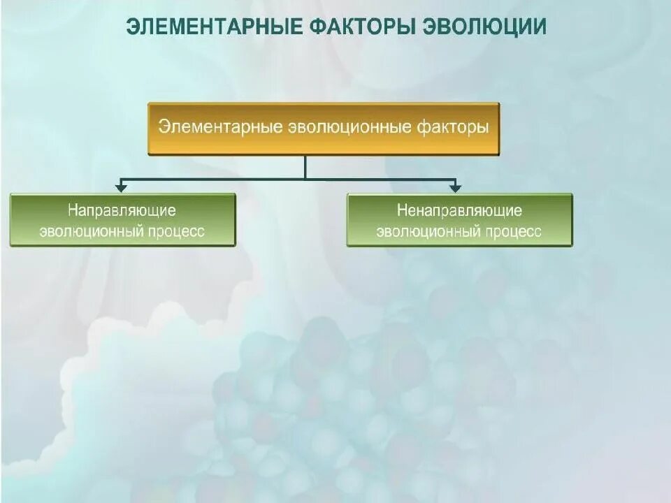 Схема многообразие элементарных эволюционных факторов. Элементарные факторы революции. Элементарные факторы эволюции. Ненаправляющие факторы эволюции. Элементарные эволюционные факторы.