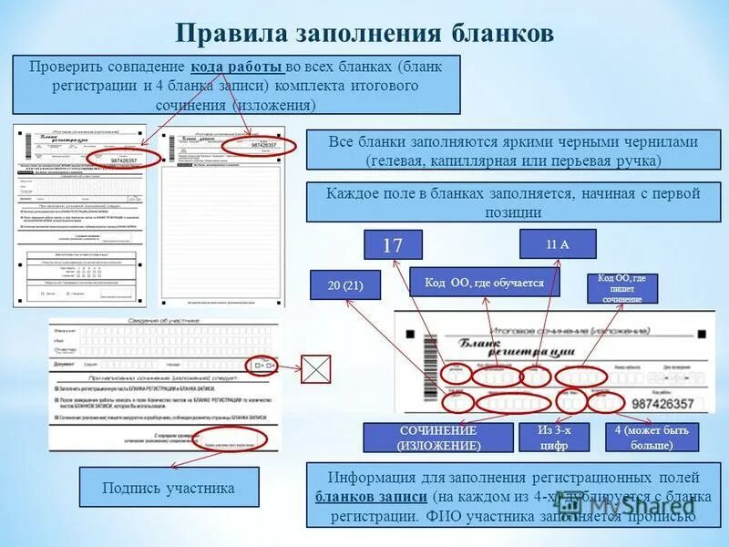 Сведения о детях на госуслугах. Проверка заполнения формы. Пример заполнения бланка егэ по русскому. Образец заполнения бланков егэ. Реквизиты формы 1с.