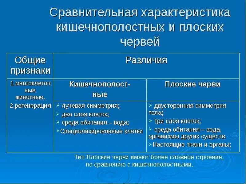 Плоские черви сравнение. Сравнение кишечнополостных и плоских червей таблица. Сравнительно анатомическая таблица плоских червей. Сравнительная таблица Тип плоские черви круглые черви. Сравнение основных типов червей таблица.