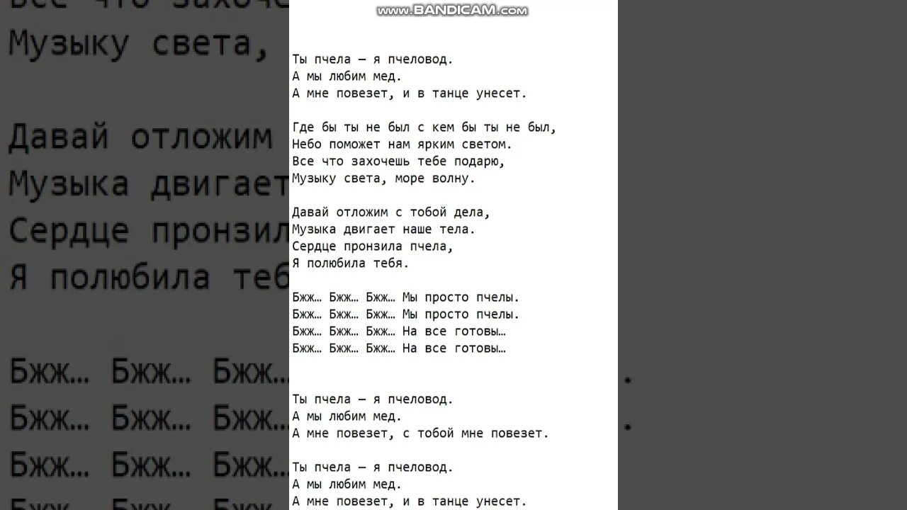 Сиреноголовый zagorsky текст. Слова песни ты пчела я пчеловод. Текст песни пчеловод. Пчеловод песня текст. Песня пчеловод текст песни.