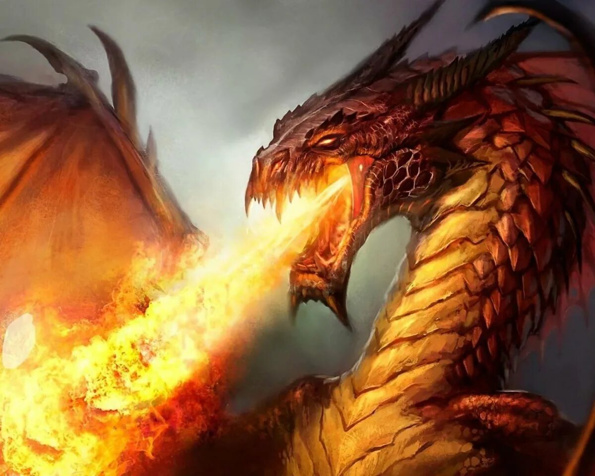 дракон в огне. горыныч огнем. дракон в огне. вермитор дракон. горыныч огнем.