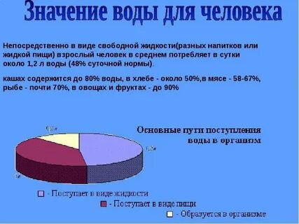 Человек в среднем за сутки