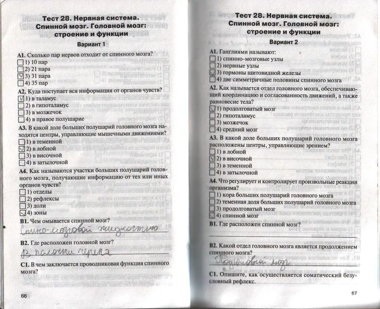 Функции мозга тест. Контрольно-измерительные материалы по биологии 8 класс богданов. биология 8 класс контрольно-измерительные материалы богданов тест 8. биология контрольно измерительные материалы 8 класс ответы.