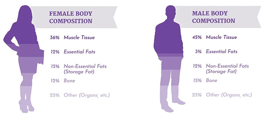 Woman is male. Body Composition. Male female. Female body fat %. MTF fat.