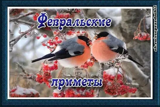 Поздравление с началом февраля. Начало февраля или начала февраля. Начало февраля или начала февраля. Открытки с добрым февральским утром. С первым днем февраля открытки с добрым утром.