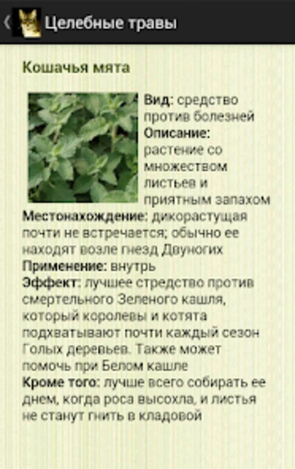 Коты воители как лечить кашель. Лечебные травы в котах воителях. лечебные травы котов воителей. целебные травы коты воители список. коты воители травы целителей.