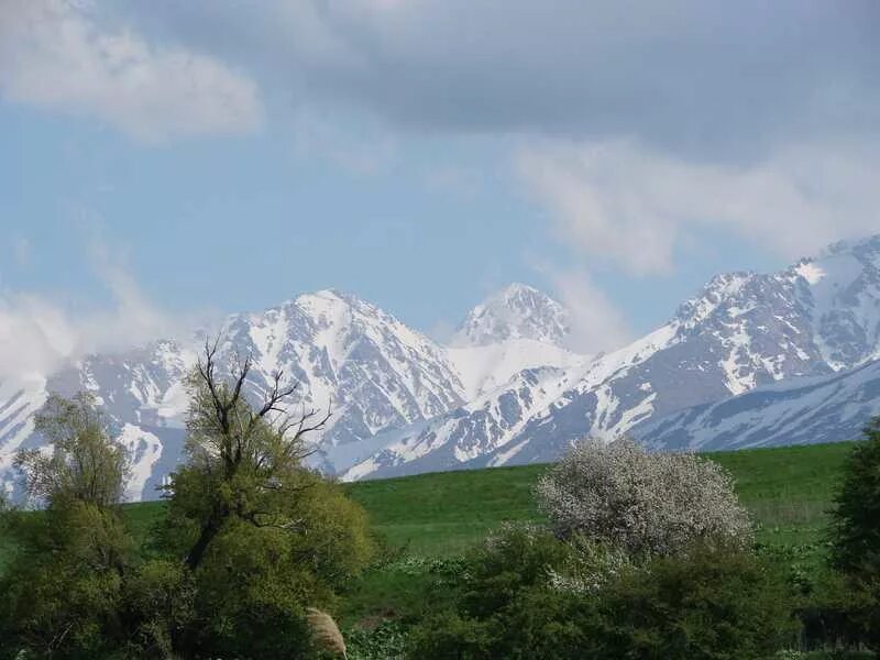 Южный казахстан фото. Южный казахстан природа. Каратауский заповедник казахстана. Юг казахстана. Казахстан горы.