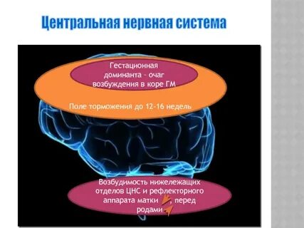 Очаги возбуждения