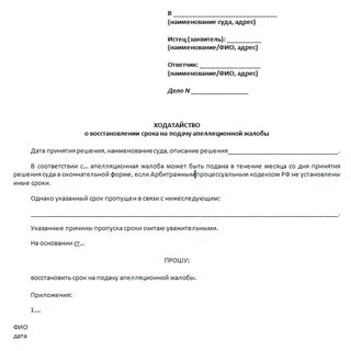 Время подачи ходатайства