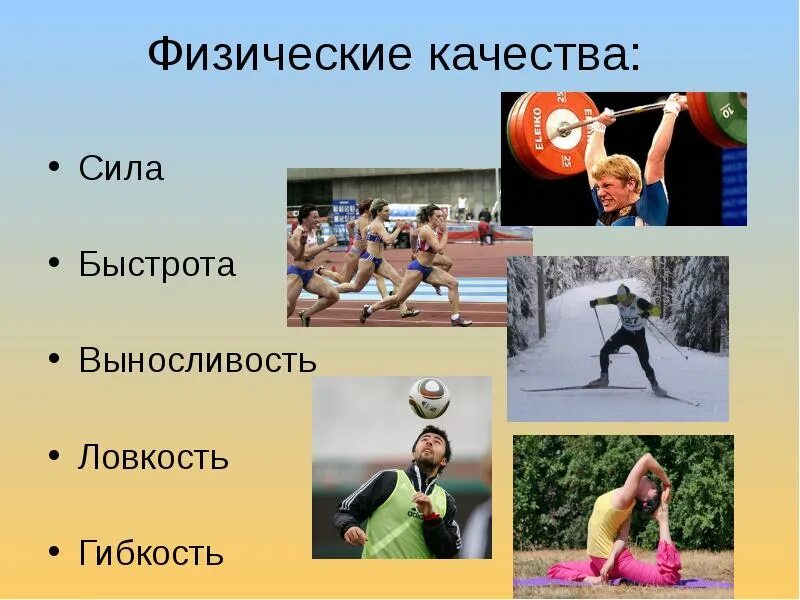 Ловкость быстроту