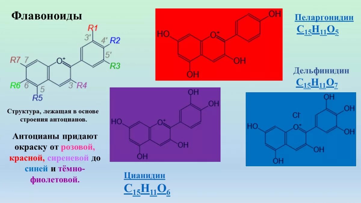 Синтез антоцианов. Антоцианы формула структурная. Флавоноиды общая формула. Общая формула антоцианов. Флавоноиды строение.